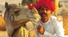 Colorful Rajasthan Tour